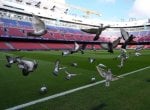 FC Barcelona agrees to new loan, raising debts to €2.6 billion