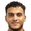 Hesham Hafez