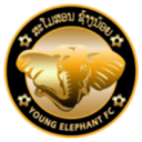 Young Elephants